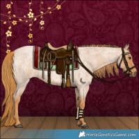 Horse Color:Red Roan 
