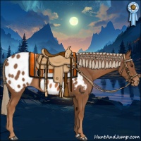 Horse Color:Chestnut Appaloosa
