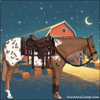 Horse Color:Chestnut Appaloosa