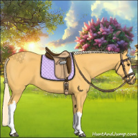 Horse Color:Palomino