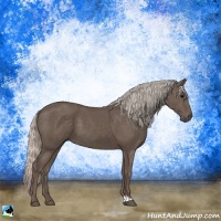 Horse Color:Silver Black 