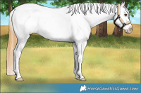 Horse Color:Buckskin Dun Splash Snowflake Varnish
