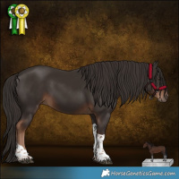 Horse Color:Liver Chestnut Tobiano 