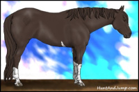 Horse Color:Liver Chestnut Tobiano 