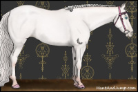 Horse Color:Platinum Silver Sable Cream Champagne Pearl