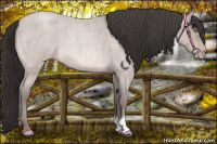 Horse Color:Platinum Sable Champagne Roan 