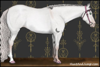 Horse Color:Platinum Silver Sable Champagne Roan Dun 