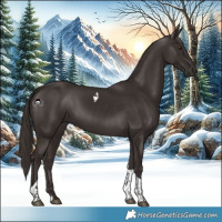Horse Color:Liver Chestnut Tobiano 