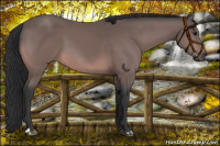 Horse Color:Platinum Bay
