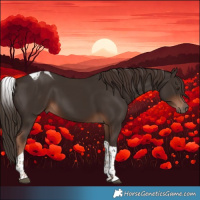 Horse Color:Liver Chestnut Tobiano 