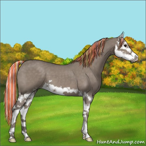 Horse Color:Painted Silver Grullo Sabino Splash 