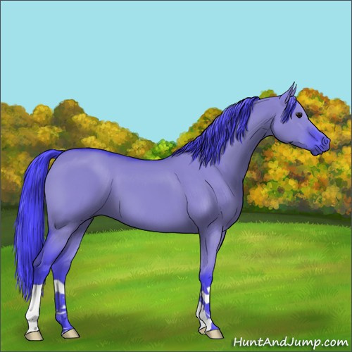 Horse Color:Watercolor Smoky Grullo 