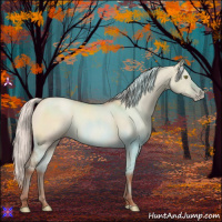 Horse Color:Silver Amber Champagne Dun Sabino 