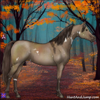 Horse Color:White Spotted Liver Red Dun 