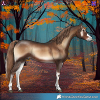 Horse Color:Liver Red Onyx