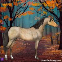 Horse Color:Buckskin Roan 