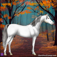 Horse Color:White Spotted Buckskin Dun 