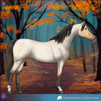 Horse Color:Buckskin Roan Dun 