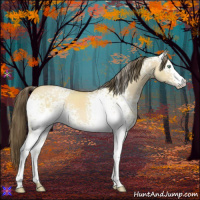 Horse Color:White Spotted Amber Cream Champagne Dun 