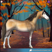 Horse Color:White Spotted Buckskin Onyx 