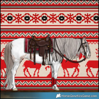 Horse Color:Bay Sabino Appaloosa