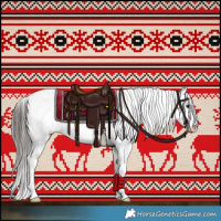 Horse Color:Black Tobiano Appaloosa 