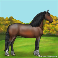 Horse Color:Brown 