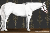 Horse Color:Platinum White Spotted Gold Cream Champagne Dun 