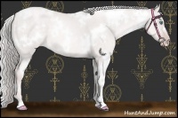 Horse Color:Platinum White Spotted Gold Cream Champagne Dun 