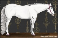 Horse Color:Platinum Perlino Roan Sabino 