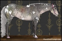 Horse Color:Platinum White Spotted Silver Smoky Blue Roan 