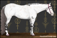 Horse Color:Platinum White Spotted Buckskin Dun Near Leopard 