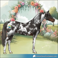 Horse Color:White Spotted Liver Chestnut 