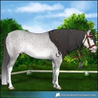 Horse Color:Platinum Sable Cream Champagne Splash