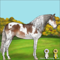 Horse Color:Gray Silver Brown Splash Tobiano Rabicano 