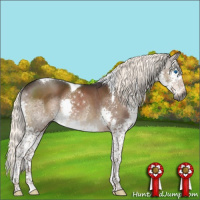 Horse Color:Gray Liver Chestnut Mushroom Splash Tobiano 