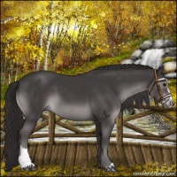 Horse Color:Platinum Smoky Black Sabino 