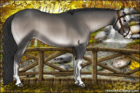 Horse Color:Platinum Blue Onyx Sabino Varnish Rabicano 