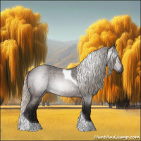 Horse Color:Gray Silver Buckskin Roan Tobiano 