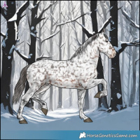 Horse Color:Brown Snowflake Varnish
