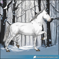 Horse Color:Silver Brown Fewspot 
