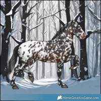 Horse Color:Brown Blanket 