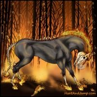 Horse Color:Grullo 