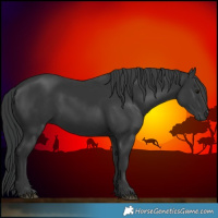 Horse Color:Black 