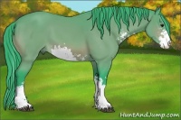 Horse Color:Watercolor Bay Sabino 
