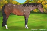 Horse Color:Brown 