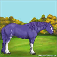 Horse Color:Watercolor White Spotted Black 