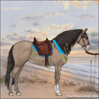 Horse Color:Classic Champagne 