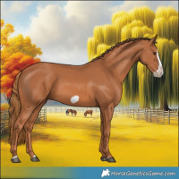 Horse Color:Chestnut Splash Frame