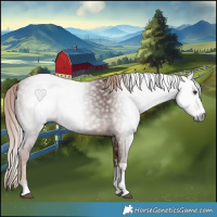 Horse Color:Gray Chestnut 